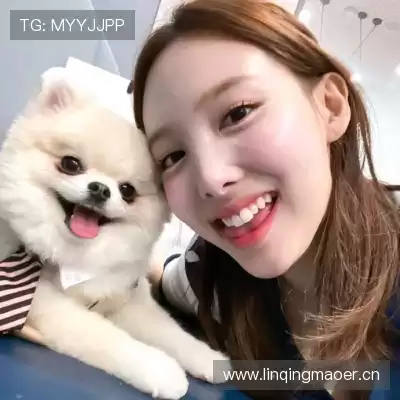 吉秋晔